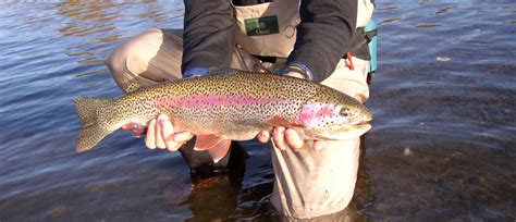 10 Incredible Fly In Alaska Fishing Examples