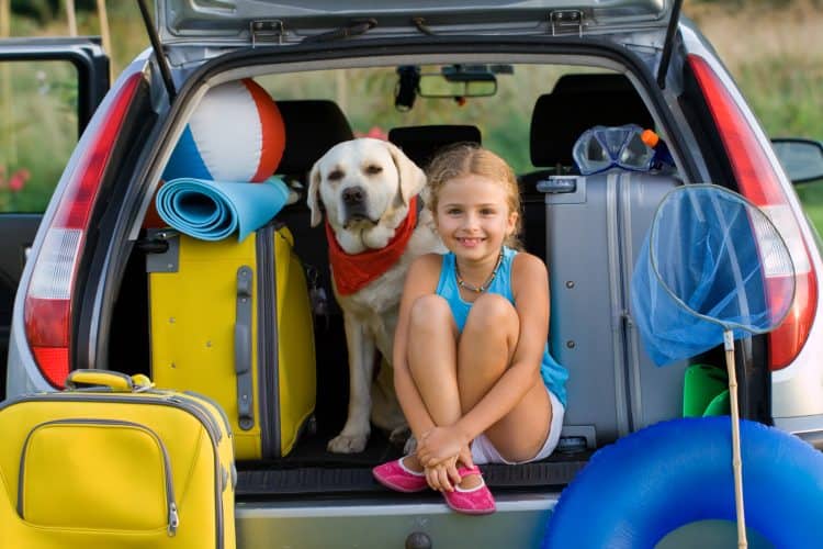 10 Tips For Traveling With Pets Pdf