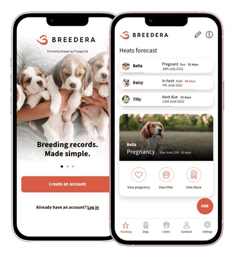 10 Types Of Paperwork You Must Keep As A Responsible Breeder Breedera Dog Breeding App