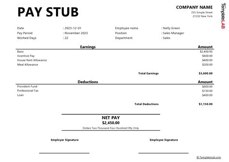 1099 Paycheck Stub