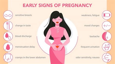 11 Early Pregnancy Signs And Symptoms Along With Care Amp Diet Nutritionfact In