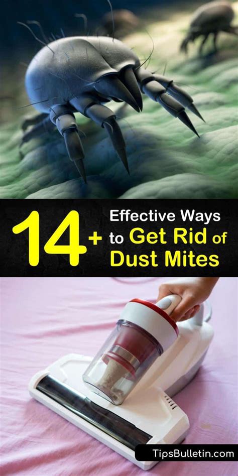 14 Amazingly Effective Ways To Get Rid Of Dust Mites