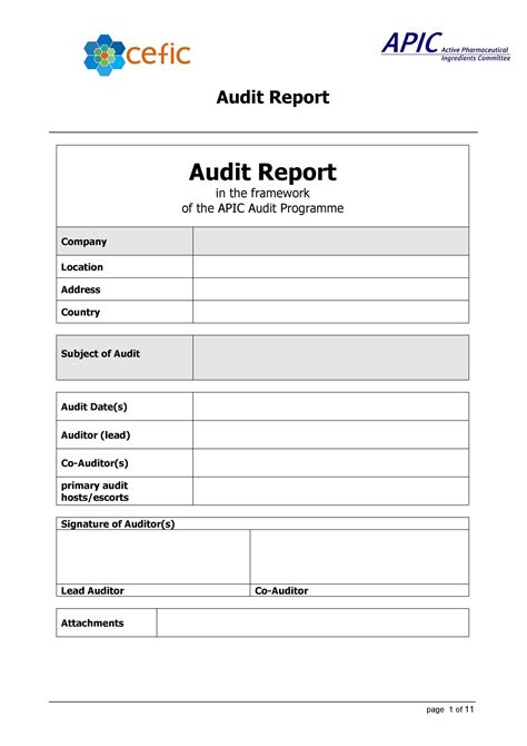 15 Free Audit Report Templates Ms Word Pdf Formats