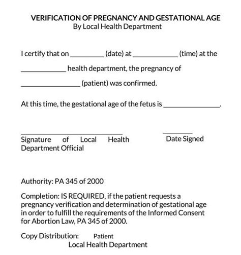 16 Free Pregnancy Verification Forms Word Pdf