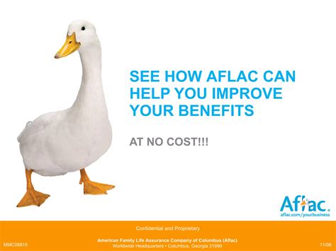 2010 Aflac Presentation