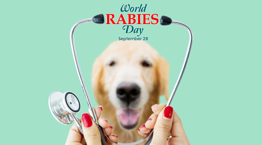 22 Ways To Prevent Rabies From Your Dog While You Can 22 Ways To