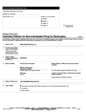 23 Printable Chapter 13 Bankruptcy Forms Templates Fillable Samples