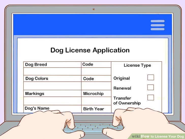 3 Ways To License Your Dog Wikihow Pet