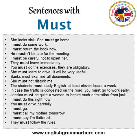 300 Modal Verb Must Sentences Examples English Grammar Here