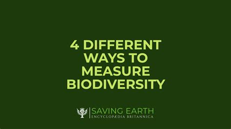 4 Different Ways To Measure Biodiversity Student Center Britannica Com