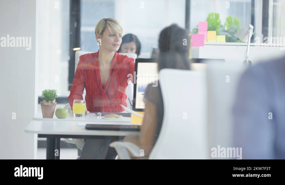 4K Office Workers Working On Computers Looking Over Paperwork In