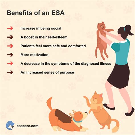 5 Benefits Of Emotional Support Animals Esas Esa Care