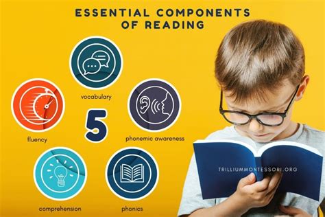 5 Essential Components Of Reading Book Whisperer Reading