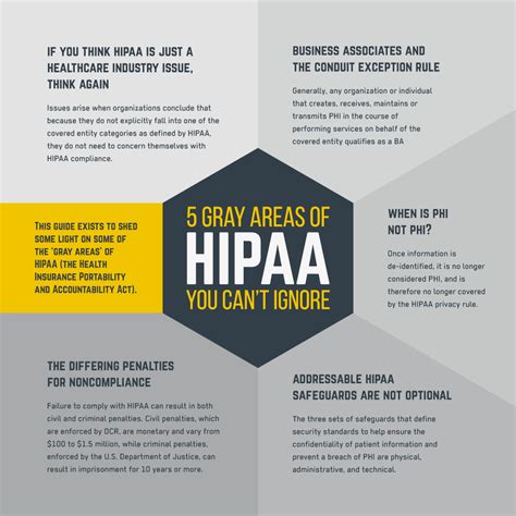 5 Gray Areas Of Hipaa Infographic