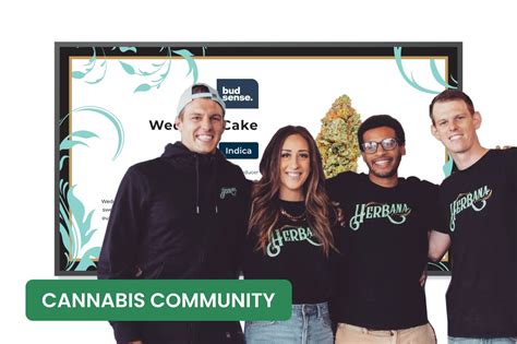 5 Michigan Dispensaries You Ve Got To Check Out Budsense