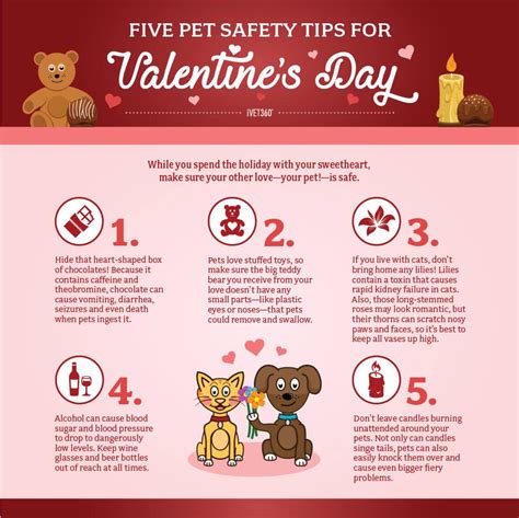 5 Pet Safety Tips For Valentines Day Infographic