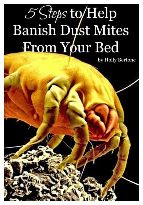 5 Steps To Help Banish Dust Mites From Your Bed Pink Fortitude Llc