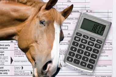 5 Tax Tips For Horse Professionals And An Opportunity To Ask Your Horse