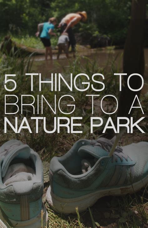 5 Things To Bring To A Nature Park Parenting Gone Wild