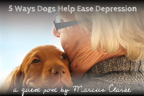 5 Ways Dogs Help Ease Depression Symptoms The Pet Show With Warren