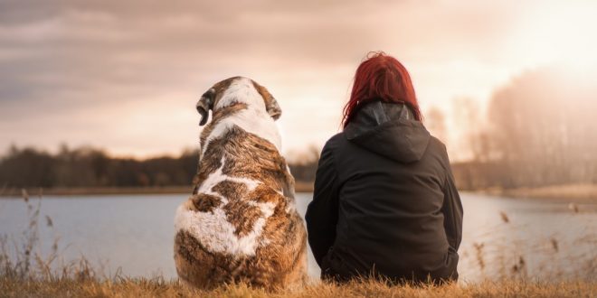 5 Ways Dogs Help Humans Live Better Lives Ruby Cavalier King Charles