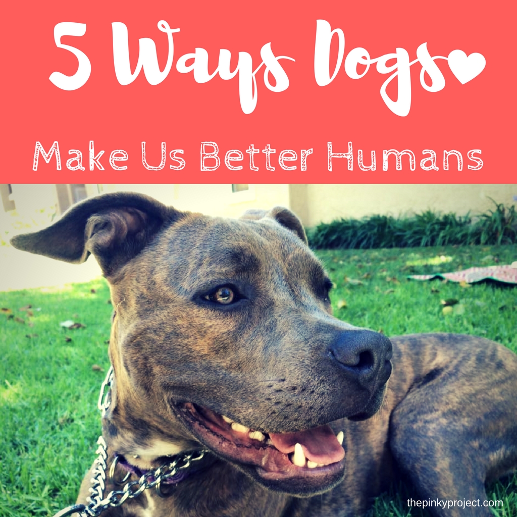 5 Ways Dogs Make Us Better Humans