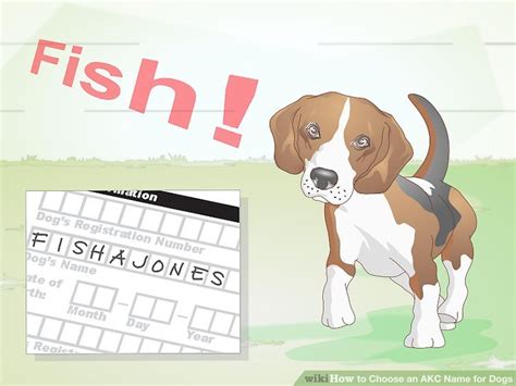 5 Ways To Choose An Akc Name For Dogs Wikihow