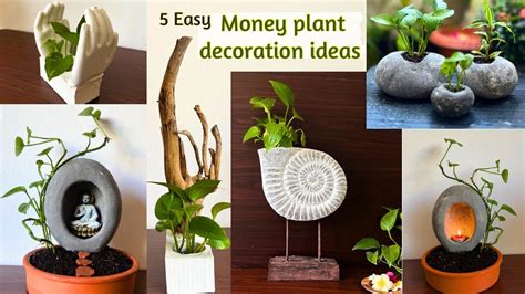 5 Ways To Create Stunning Money Plant Decoration Ideas Indoor Money Plant Growth Hacks Green