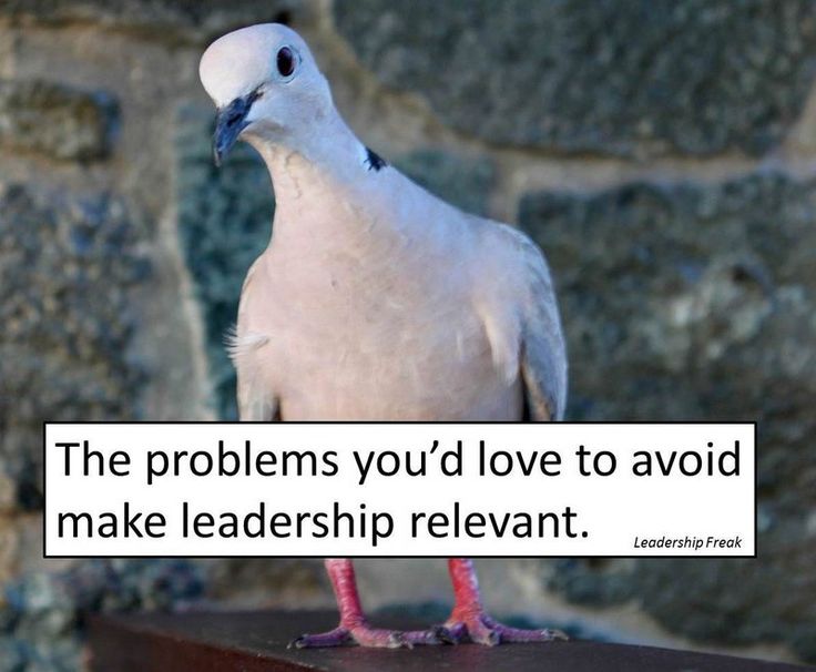 5 Ways To Face What You Amp 39 D Like To Avoid Leadership Freak Leadership Leadership Quotes