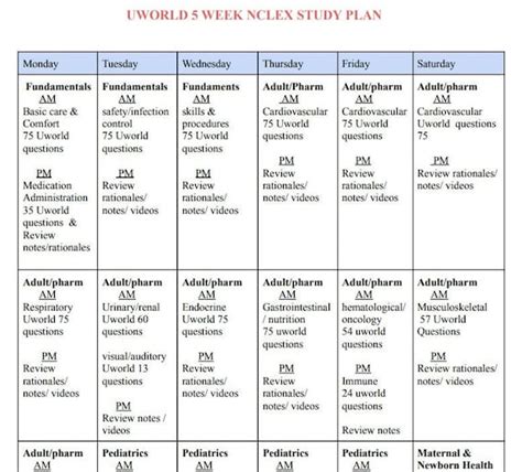 5 Week Nclex Study Plan Uworld 2 Page Etsy