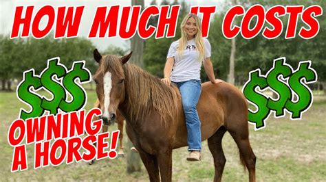 7 Easy Ways To Save Money When You Own A Horse Horses Horse