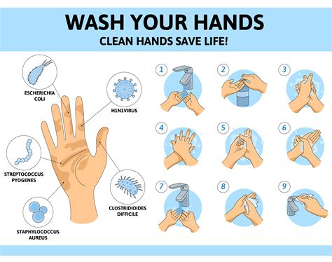 7 Steps Of Hand Washing Your Key To Cleanliness