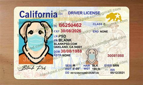 8 Drivers License Template Psd Images California Drivers License Template California Id