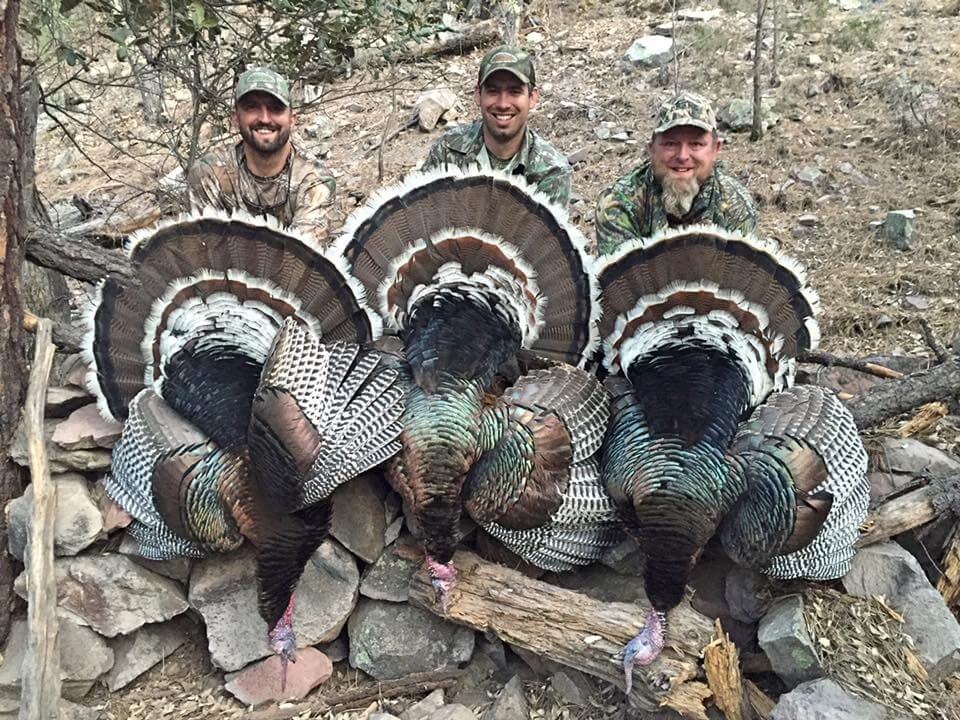 A Diy Gould S Turkey Hunt In Old Mexico Grand View Outdoors