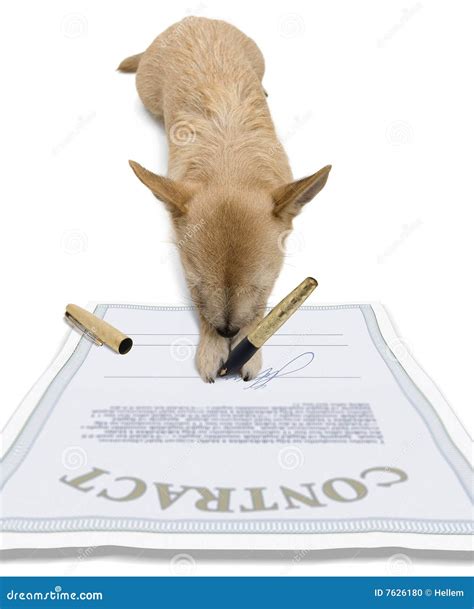 5 Ways Dogs Sign