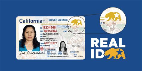 Actualizaciones De Real Id Noticias Para Inmigrantes