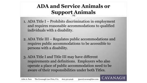 Ada And Service Animals Or Support Animals Video Lorman Education