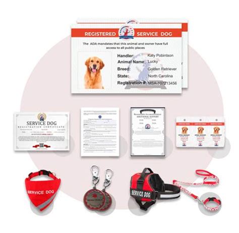 Ada Full Kit Online Usa Service Dog Registration Bundle