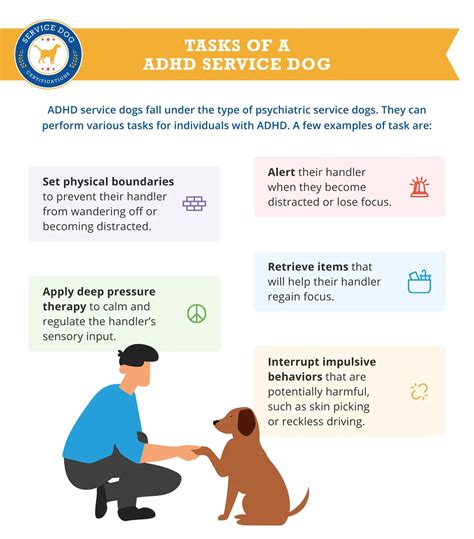 Adhd Service Dog Tasks Service Dog Certifications