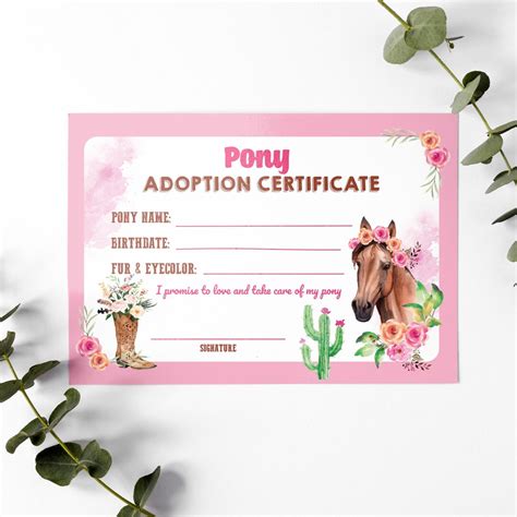 Adopt A Pony Adoption Certificate Horse Adoption Horse Etsy