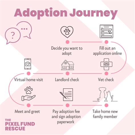 Adoption Process And Paperwork We Want To Make It Easy For You Youtube