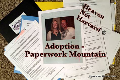 Adoption The Paperwork Mountain Heaven Not Harvard