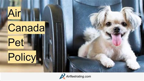 Air Canada Pet Policy Airfleetrating