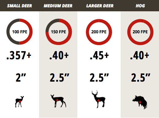 Airgun Guide What To Shoot And What To Buy The Field