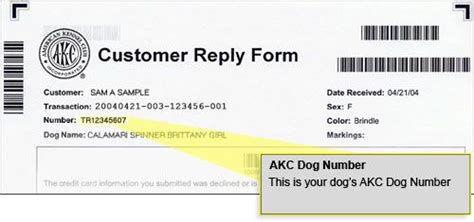 Akc Form Status Processing Menu