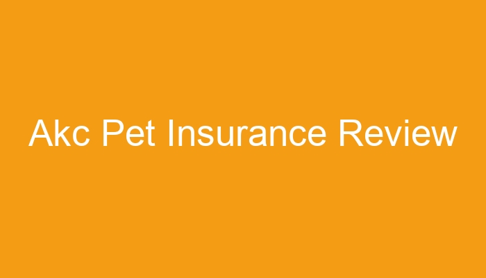 Akc Pet Insurance Services Rating Review 2024