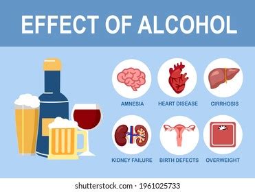 Alcohol Infographic Diseases And Effects On Body Vector Image