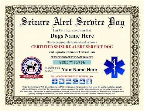 Amazon Com Innovative Id Cards Medical Alert Service Dog Certificate Customizable With Dogs Handlers Name Office Products