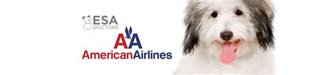 American Airlines Esa And Psychiatric Service Dog Policy Esa Doctors