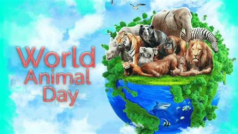 An Important Message For All On World Animal Day Via Humane Society International India